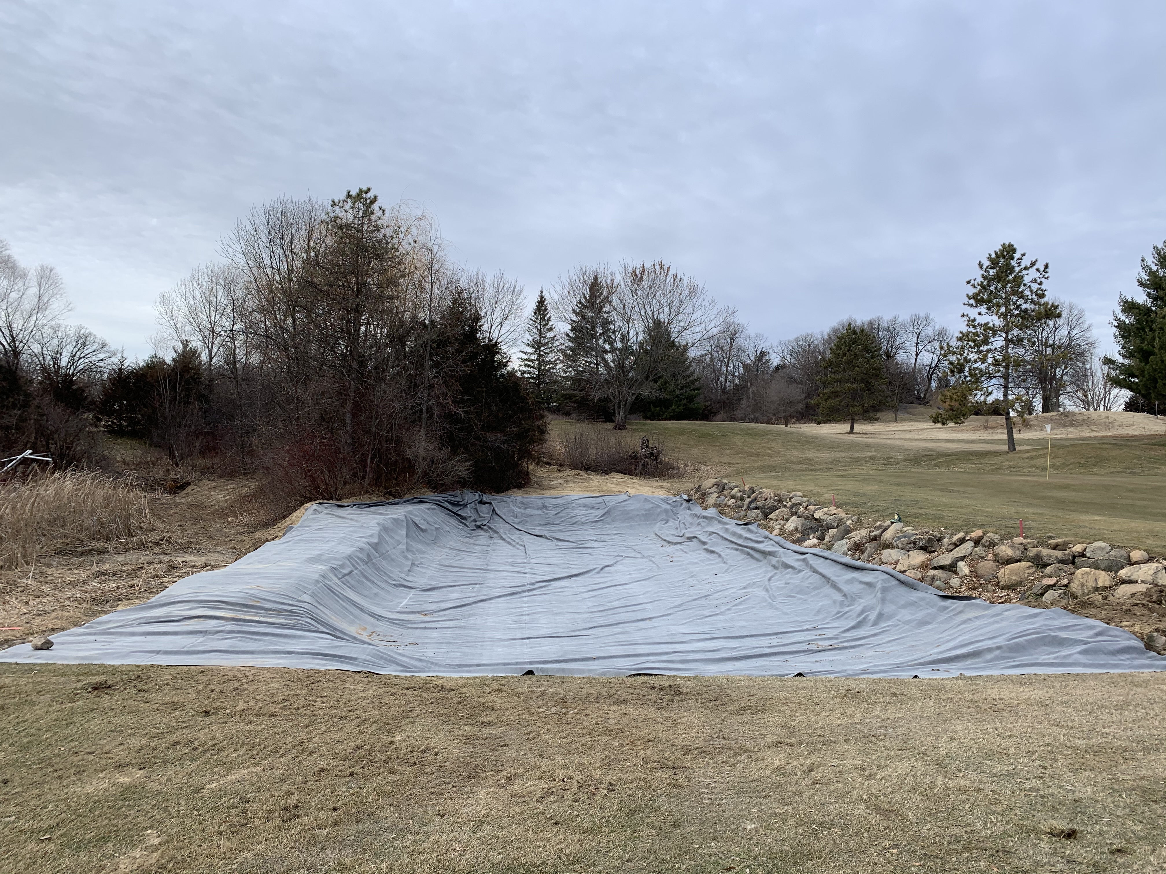 pond in the winter